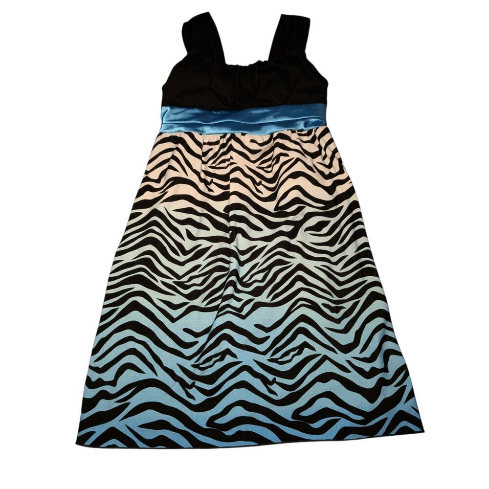Rare Editions Girls Black & Blue Ombre Zebra Stripe Empire Waist Dress Size 7/8 - Picture 7 of 12